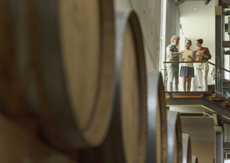 Winery employees talking on platform in cellar